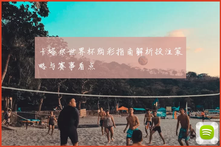 卡塔尔世界杯购彩指南解析投注策略与赛事看点