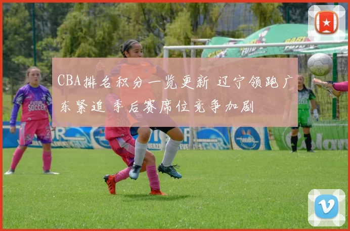 CBA排名积分一览更新 辽宁领跑广东紧追 季后赛席位竞争加剧