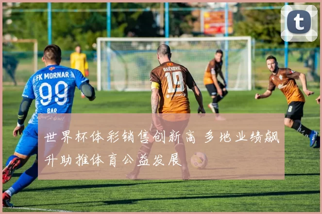 世界杯体彩销售创新高 多地业绩飙升助推体育公益发展