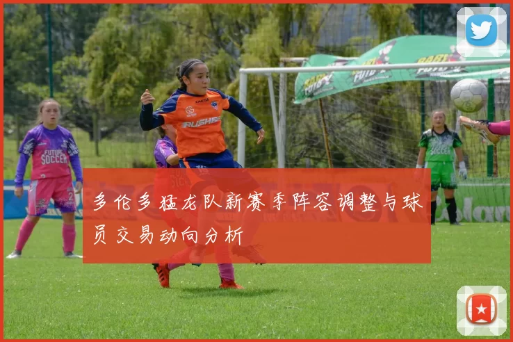 多伦多猛龙队新赛季阵容调整与球员交易动向分析