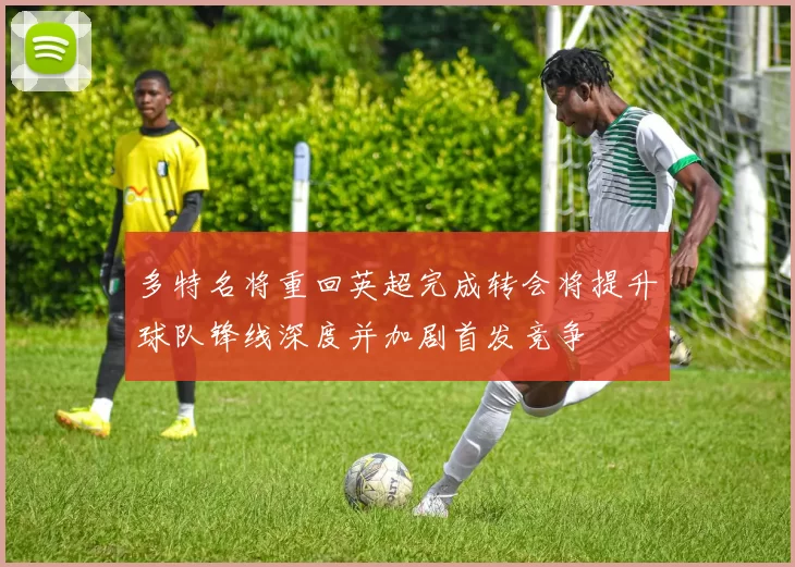 多特名将重回英超完成转会将提升球队锋线深度并加剧首发竞争