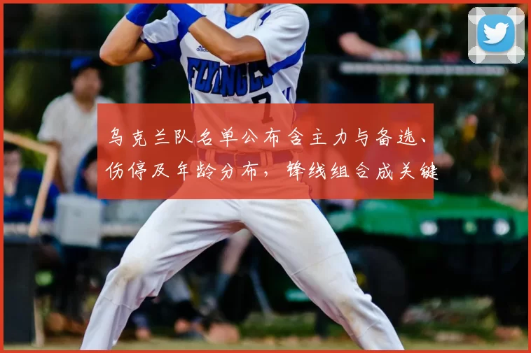 乌克兰队名单公布含主力与备选、伤停及年龄分布，锋线组合成关键看点